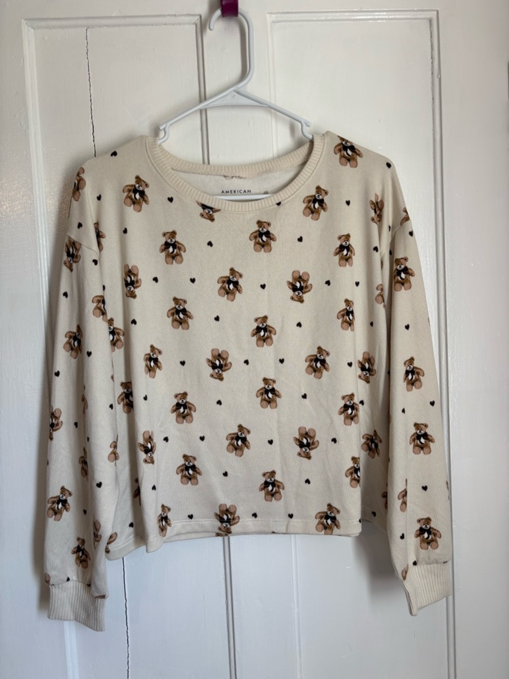 American Eagle Outfitters Luxe Plush Long Sleeve & Pant set